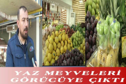 YAZ MEYVELERİ YERİNİ KIŞ MEYVELERİNE BIRAKIYOR