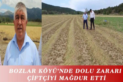 BOZLAR KÖYÜ’NDE DOLU ZARARI ÇİFTÇİYİ MAĞDUR ETTİ