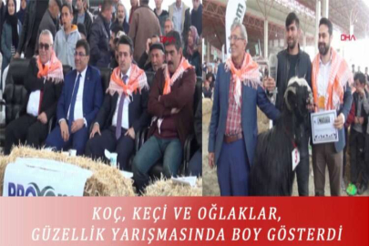 KOÇ, KEÇİ VE OĞLAKLAR, GÜZELLİK YARIŞMASINDA BOY GÖSTERDİ