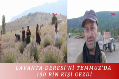 LAVANTA DERESİ’Nİ TEMMUZ’DA 100 BİN KİŞİ GEZDİ