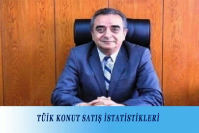 TÜİK KONUT SATIŞ İSTATİSTİKLERİ