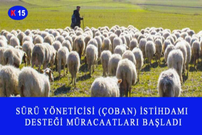 SÜRÜ YÖNETİCİSİ (ÇOBAN) İSTİHDAMI DESTEĞİ MÜRACAATLARI BAŞLADI