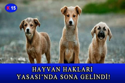HAYVAN HAKLARI YASASI’NDA SONA GELİNDİ!