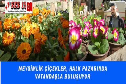 MEVSİMLİK ÇİÇEKLER, HALK PAZARINDA VATANDAŞLA BULUŞUYOR