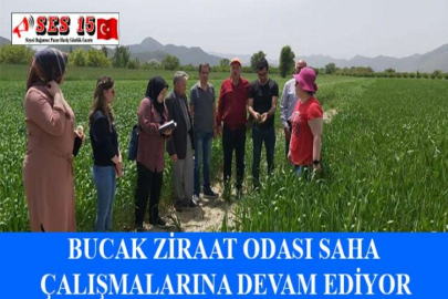 BUCAK ZİRAAT ODASI SAHA ÇALIŞMALARINA DEVAM EDİYOR