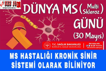 MS HASTALIĞI KRONİK SİNİR SİSTEMİ OLARAK BİLİNİYOR