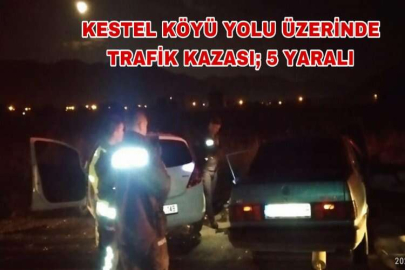 KESTEL KÖYÜ YOLU ÜZERİNDE TRAFİK KAZASI; 5 YARALI