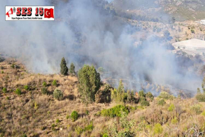 MERSİN'DE ÇIKAN ORMAN YANGINI SÖNDÜRÜLDÜ