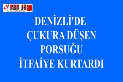 DENİZLİ'DE ÇUKURA DÜŞEN PORSUĞU İTFAİYE KURTARDI