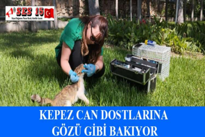 AK PARTİ MUĞLA İL BAŞKANLIĞINA YAPILAN TAŞLI SALDIRI, GÜVENLİK KAMERASINA YANSIDI