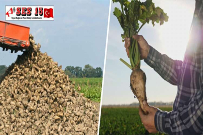 PANCAR ÜRETİCİLERİNE 728 MİLYON TL AVANS ÖDEMESİ