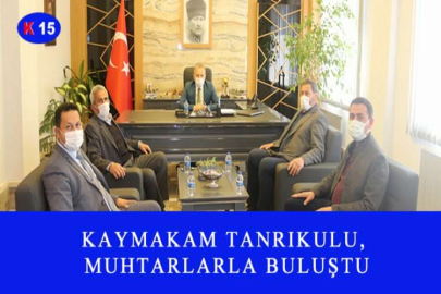 ADANA'DA SON BİR AYDA HIRSIZLIK İDDİASIYLA YAKALANAN 156 ZANLIDAN 87'Sİ TUTUKLANDI