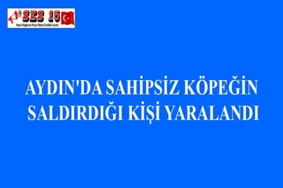 AYDIN'DA SAHİPSİZ KÖPEĞİN SALDIRDIĞI KİŞİ YARALANDI