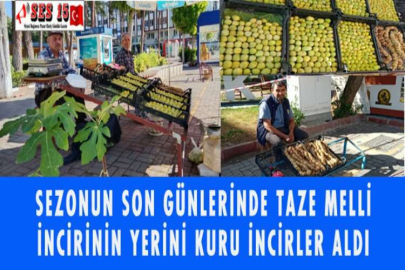 SEZONUN SON GÜNLERİNDE TAZE MELLİ İNCİRİNİN YERİNİ KURU İNCİRLER ALDI