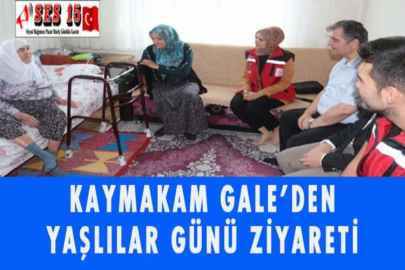 KAYMAKAM GALE’DEN YAŞLILAR GÜNÜ ZİYARETİ