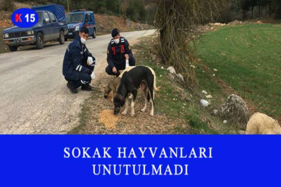 OSMANİYE'DE SAĞLIKLI YAŞAM İÇİN YÜRÜYÜŞ DÜZENLENDİ