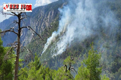 BURDUR'DA KARANLIKDERE KANYONU'NDA ÇIKAN ORMAN YANGINI KONTROL ALTINA ALINDI