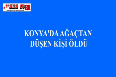 KONYA'DA AĞAÇTAN DÜŞEN KİŞİ ÖLDÜ