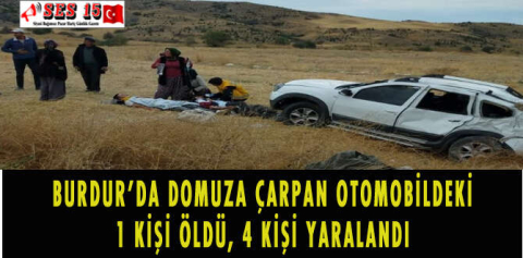 BURDUR'DA DOMUZA ÇARPAN OTOMOBİLDEKİ 1 KİŞİ ÖLDÜ, 4 KİŞİ YARALANDI