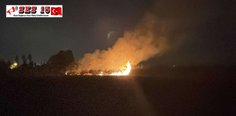 SAZLIK ALANDA ÇIKAN YANGIN KONTROL ALTINA ALINDI