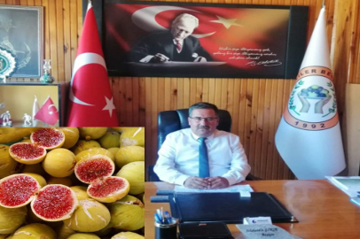 KOCAALİLER BELDESİ ANTALYA’DA FUARDA TANITILACAK