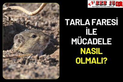 Tarla Faresi ile mücadele nasıl olmalı?
