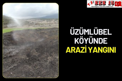 Üzümlübel Köyünde arazi yangını