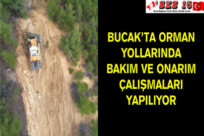 Bucak’ta Orman Yollarında Bakım Ve Onarım Çalışmaları Yapılıyor