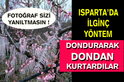 Isparta’da Çiçek Açan Şeftali Ağaçlarını Dondan Dondurarak Kurtardılar