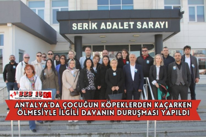 Antalya'da Çocuğun Köpeklerden Kaçarken Ölmesiyle İlgili Davanın Duruşması Yapıldı