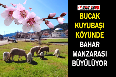 Bucak Kuyubaşı Köyünde Bahar Manzarası Büyülüyor