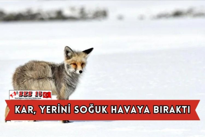 Kar, Yerini Soğuk Havaya Bıraktı