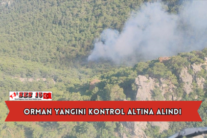 Orman Yangını Kontrol Altına Alındı