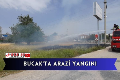 Bucak'ta Arazi Yangını