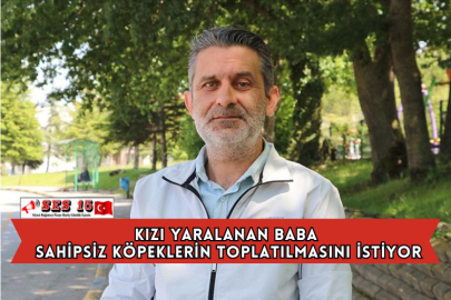 Kızı Yaralanan Baba Sahipsiz Köpeklerin Toplatılmasını İstiyor