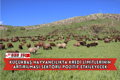 Küçükbaş Hayvancılıkta Kredi Limitlerinin Artırılması Sektörü Pozitif Etkileyecek