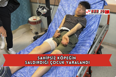 Sahipsiz Köpeğin Saldırdığı Çocuk Yaralandı