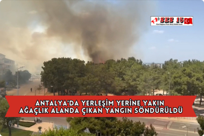 Antalya'da Yerleşim Yerine Yakın Ağaçlık Alanda Çıkan Yangın Söndürüldü