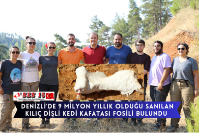 Denizli'de 9 Milyon Yıllık Olduğu Sanılan Kılıç Dişli Kedi Kafatası Fosili Bulundu