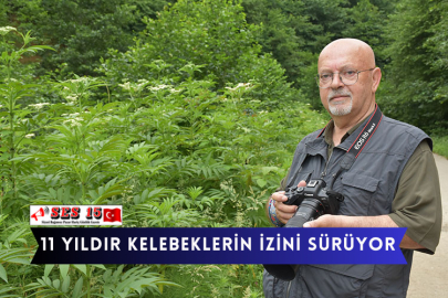 11 Yıldır Kelebeklerin İzini Sürüyor