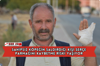 Sahipsiz Köpeğin Saldırdığı Kişi Serçe Parmağını Kaybetme Riski Yaşıyor