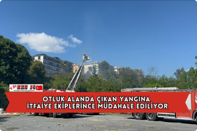 Otluk Alanda Çıkan Yangına İtfaiye Ekiplerince Müdahale Ediliyor