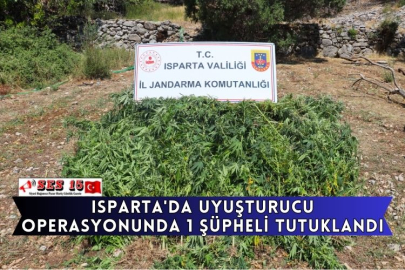 Isparta'da Uyuşturucu Operasyonunda 1 Şüpheli Tutuklandı