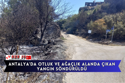 Antalya'da Otluk Ve Ağaçlık Alanda Çıkan Yangın Söndürüldü