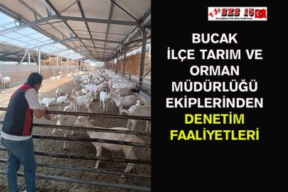 Bucak İlçe Tarım Ve Orman Müdürlüğü Ekiplerinden Denetim Faaliyetleri