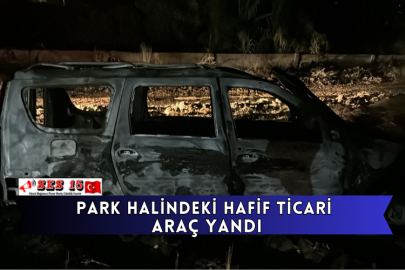 Park Halindeki Hafif Ticari Araç Yandı