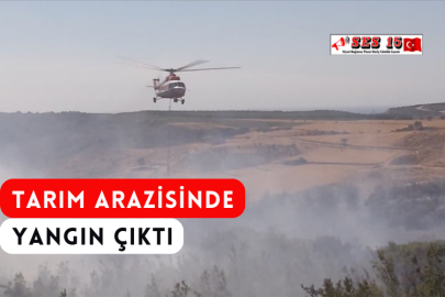 Tarım Arazisinde Yangın Çıktı