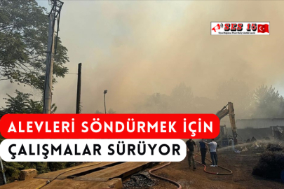 Alevleri Söndürmek İçin Çalışmalar Sürüyor