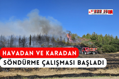 Havadan ve Karadan Söndürme Çalışması Başladı