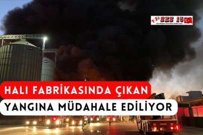  Halı Fabrikasında Çıkan Yangına Müdahale Ediliyor